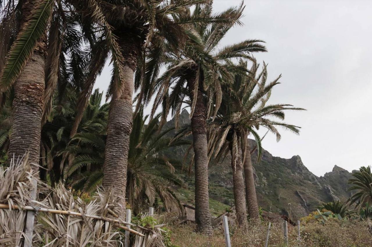 Oasis Atlantico: Rincon Secreto Al Pie De Los Senderos Azano Exteriör bild